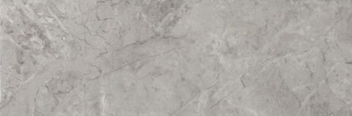 Renoir Gris 20x60