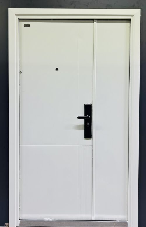 STEEL DOOR TN-G489 120*205 LEFT
