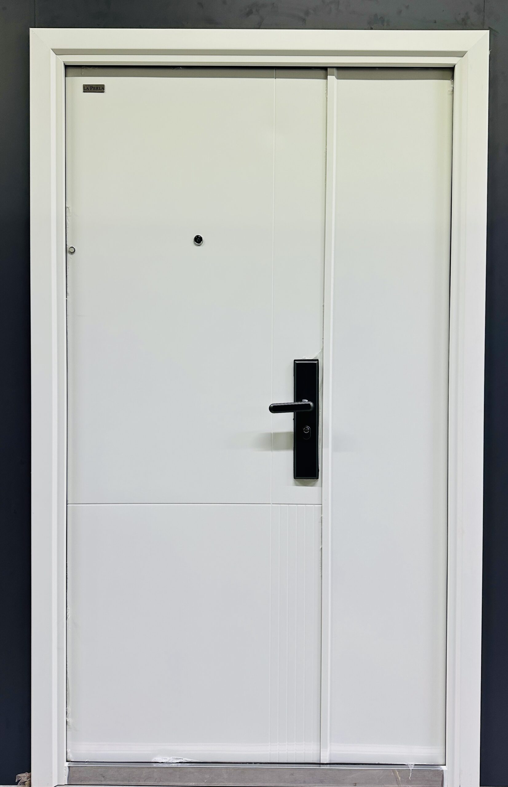 STEEL DOOR TN-G489 120*205 LEFT